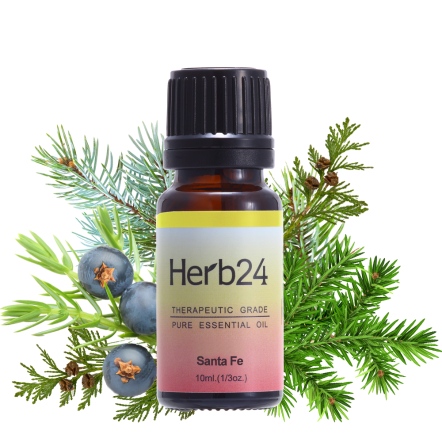 Herb24 淨化之林 複方純質精油 10ml