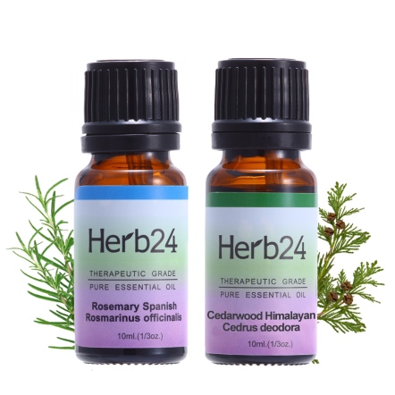 Herb24 沉靜大地精油２件組 ( 迷迭香、喜馬拉亞雪松各10ml )