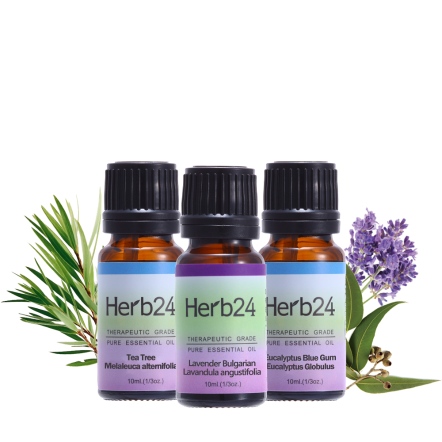 Herb24 純質精油３件組（茶樹、保加利亞薰衣草、藍膠尤加利，各10ml）