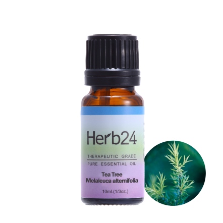 Herb24 茶樹 純質精油 10ml